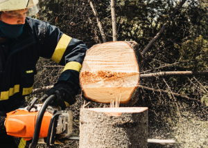 Stump Grinding